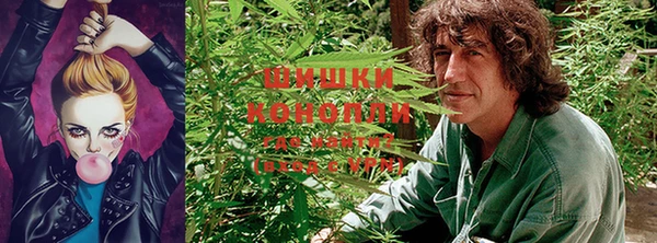 марихуана Верея