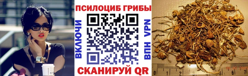 гидра ССЫЛКА Дзержинск Галлюциногенные грибы MAGIC MUSHROOMS